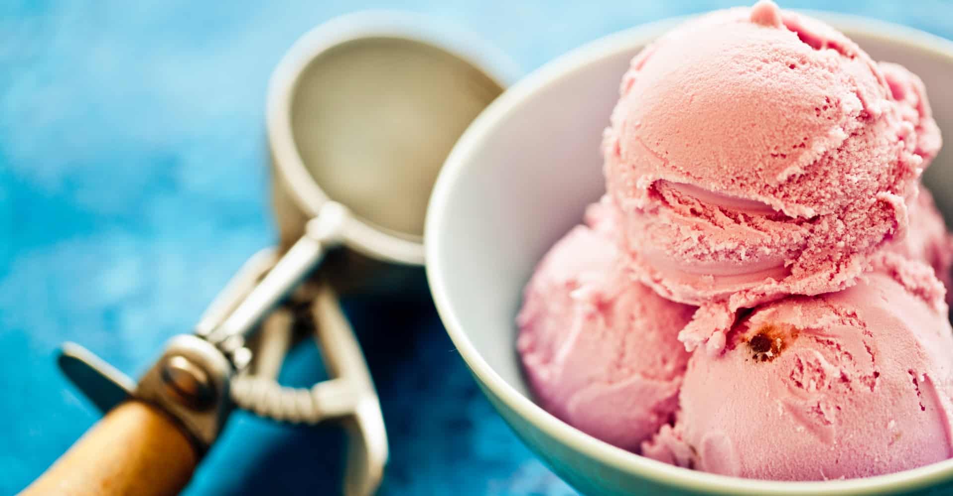 pauls vegan ice cream
